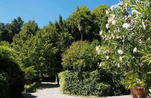 Farmhouse in Tuscany Near Renaissance Villa - Foto 78