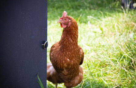 Home Farm & Lodge - Foto 42