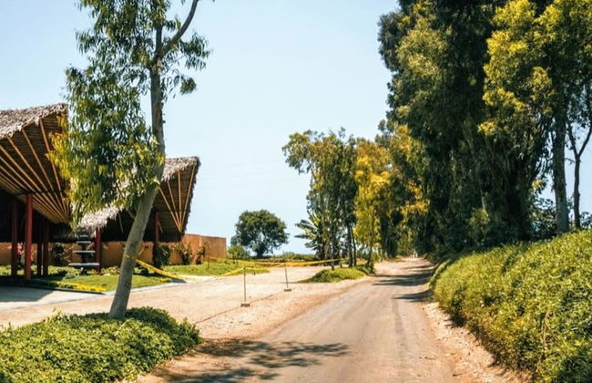 HOP Aruba Exclusiva Oasis y Playa en Chincha - Foto 62