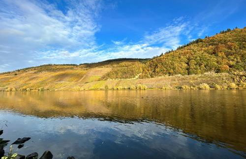 Moselglück - Foto 23