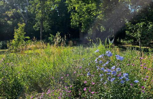 Ferienloft Libela Straupitz im Spreewald - Foto 16
