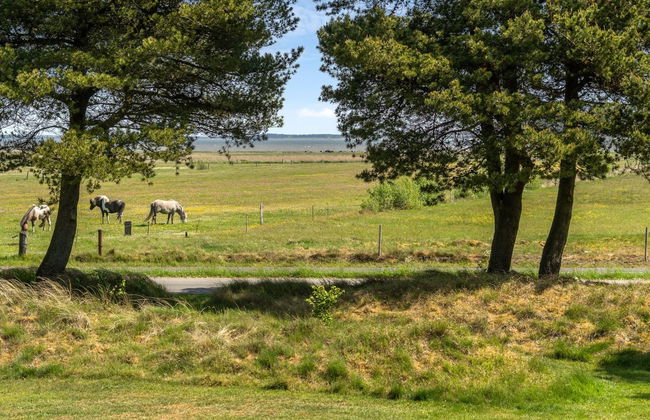 "Elny" - 500m to the fjord - Foto 3