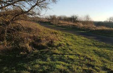 Amazingly quiet and peaceful studio getaway. - Foto 24