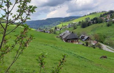 Drei Tannen - Foto 66