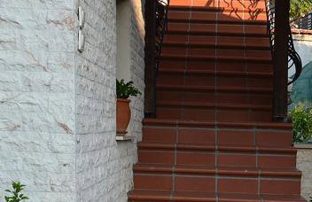 "The plane trees" - Foto 43