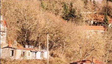 The Black Chestnut - Foto 5