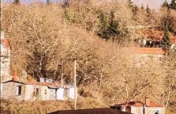 The Black Chestnut - Foto 5