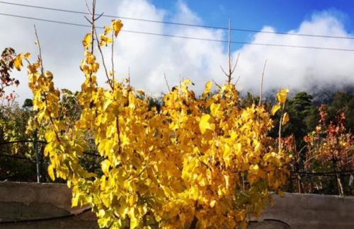 Stonehouse dome Lagadia - Photo 59