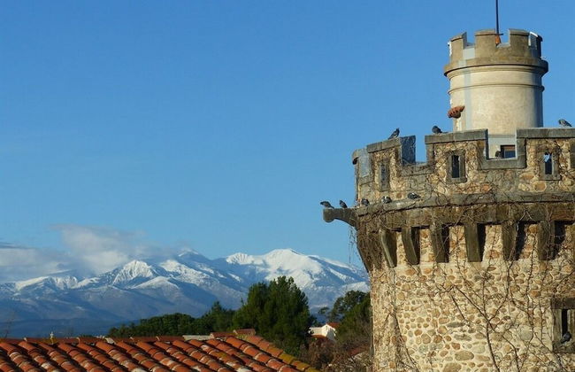 Château D'ortaffa - Foto 16