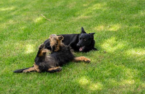 PRZYSTANEK DŁUŻEK - Photo 28