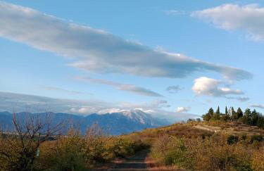 Rooster Retreat - Foto 24