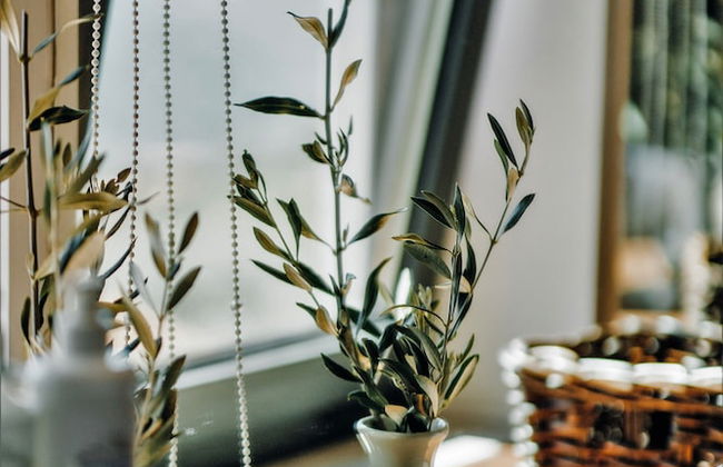 Casa do Santo - Wine & Tourism - Foto 47