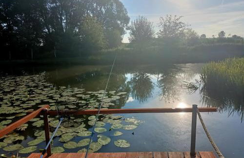 Smocze Ranczo 2 - Foto 63