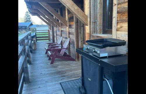 Chalet les 3 cerfs - Photo 24