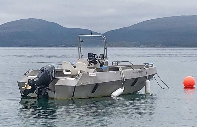 8 Person Holiday Home in Sandstad - Photo 37