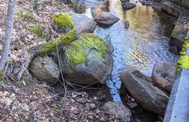 1870s Stained Glass Nostalgia - Foto 12