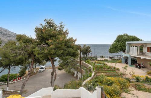 Niki's Studios Kalymnos - Foto 34