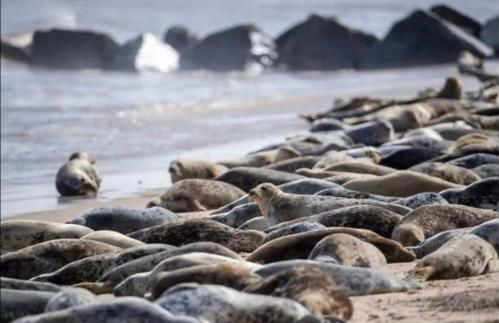 Garden Cottage, Cosy, Private, Short drive to beach - Foto 43