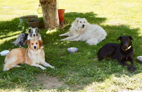 Ojai Wilderness Off-The-Grid Sespe House - Foto 23