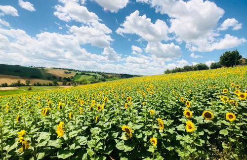 Ritorno alla Natura - Foto 37