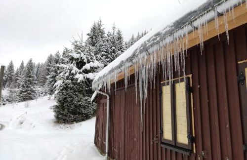 Historisches Aschberg Haisl Klingenthal, Terrasse, großer Garten 6 plus 2 Personen - Photo 11