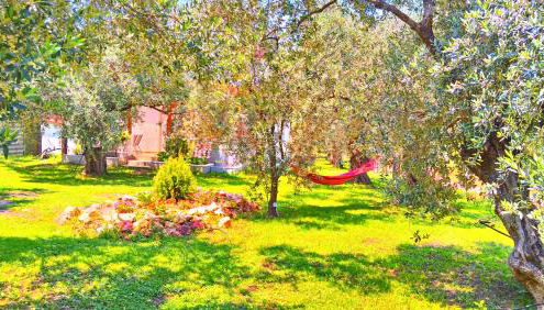 Sunray Separate Villa - Photo 3, Garden