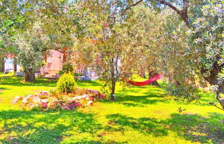 Sunray Separate Villa - Photo 3