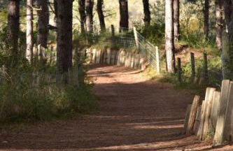 La Maison Rose - Foto 32