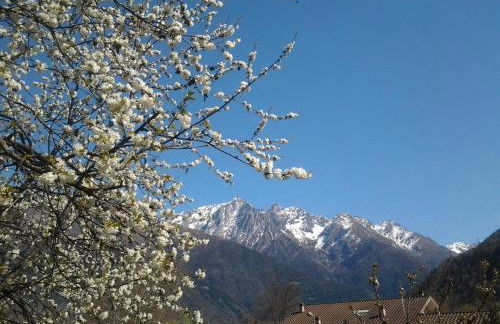 Villetta Nembra - Foto 4