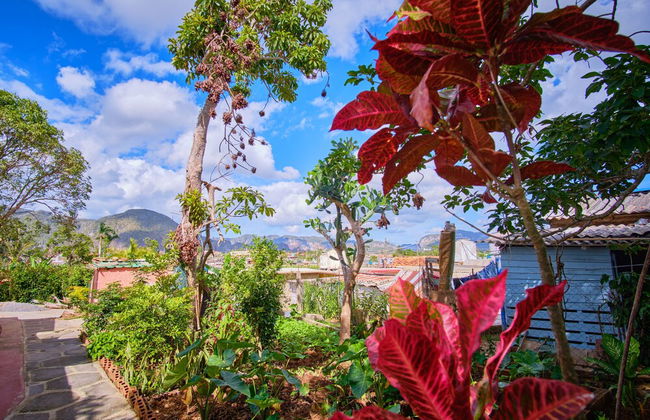 Villa in Viñales with garden and terrace - Foto 32