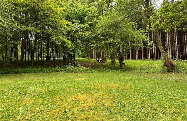 Cozy Chalet in Trois Ponts near Forest - Photo 47