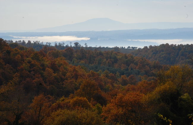 Agriturismo Walden - Photo 32