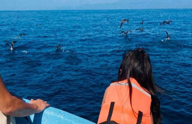 Una emocionante aventura marina por la Costa de Oaxaca - Tour - Foto 9