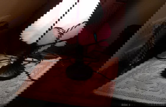 Villa Fiorita - Photo 54