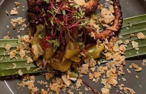 Naay Villas - Flat Beira Mar - Sao Miguel dos Milagres - Foto 43