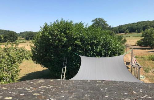 The Linden House - Photo 21