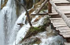 Entrance 2 Stay - Foto 18