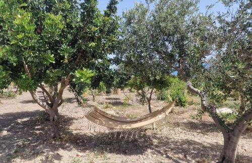 Tendu' Punta Bianca Glamping Camp - Foto 42