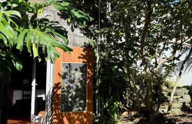 Haven Azores - Photo 31