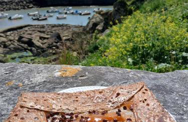 Les hortensias de papy - Foto 23