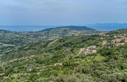 Mary's House - Photo 63