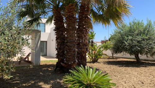 Villa Cocus - Foto 3, Garden