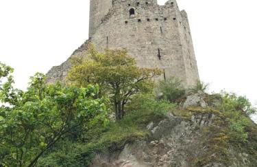 Gite Du Rittersberg - Foto 38