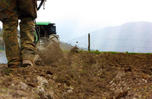 Terra Del Bosco Agriturismo - Foto 33