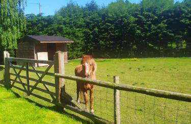 Yew Tree Barn - Foto 6