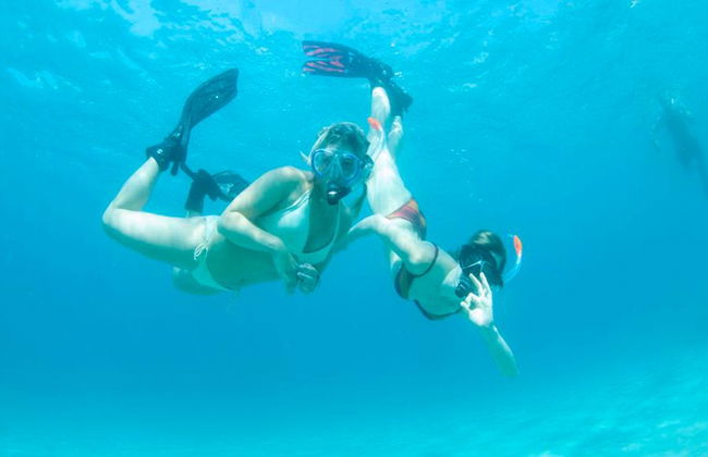 Experiência de Snorkeling nas Ilhas Malgrats – a partir de Santa Ponsa - Foto 6