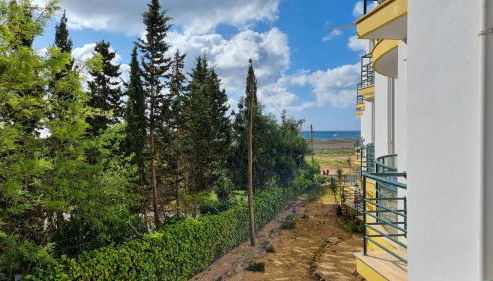 Meia Praia - Photo 5, Garden