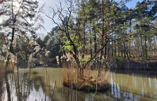 Charnay Sologne - Calme Charme Clim et Confort Piscine à 5 mn du péage Vierzon centre A71 - Foto 78
