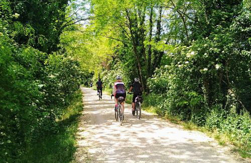 Sunset View Treviso Apartment - Foto 38