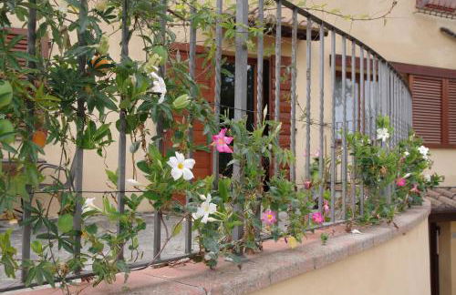 Il Gufo del Chianti - Foto 15